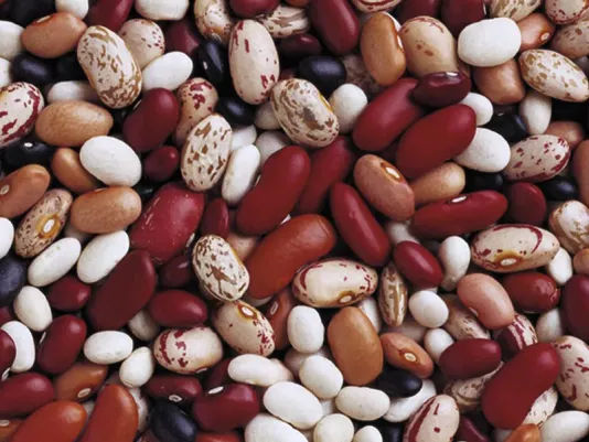 Beans – recipe ingredient