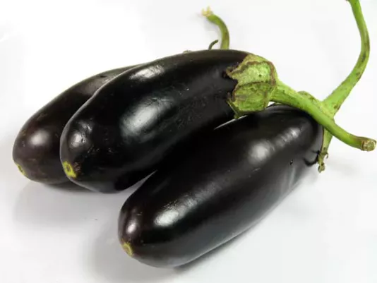 Eggplants – recipe ingredient