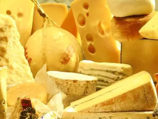 Твердый сыр – ингредиент рецептов
