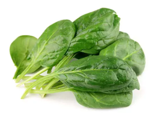 Spinach – recipe ingredient