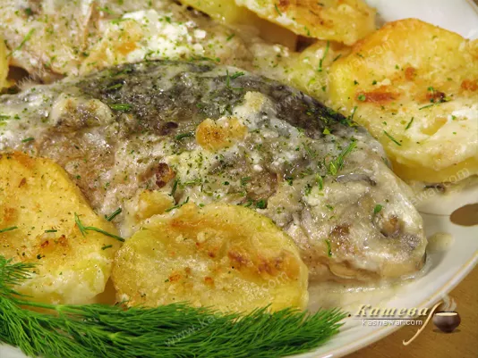 Crucian carp in sour cream sauce - recipe with photo, Ukrainian cuisine