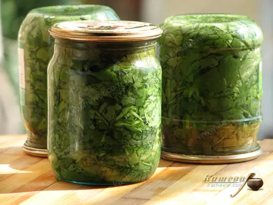 Sorrel for the winter – recipe with photo, canning