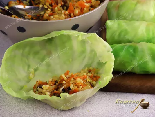 Vegetable stuffing in cabbage leaf