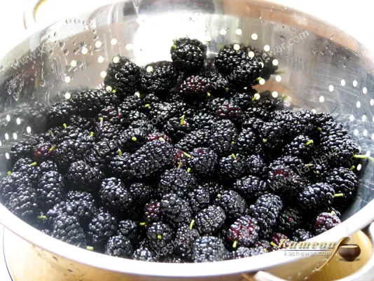 Preparing mulberries for jam