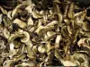 Белые сушеные грибы – ингредиент рецептов