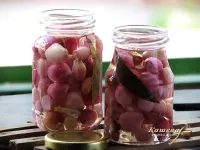 Маринована цибуля в олії – рецепт з фото, італійська кухняя