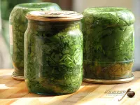 Sorrel for the winter – recipe with photo, canning
