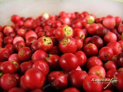 Lingonberry – recipe ingredient