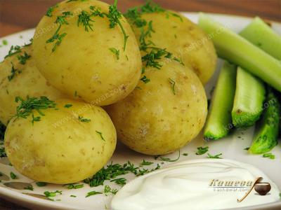 Молодой картофель в сметане – рецепт с фото, белорусская кухня