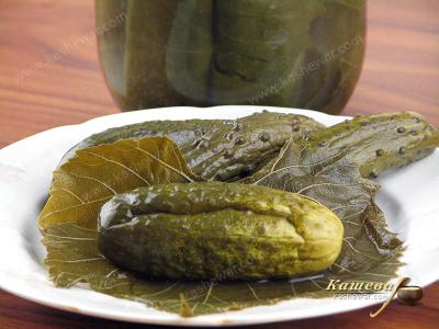 Cucumbers in grape leaves – recipe with photo, food preservation for the winter