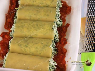 Rolls of lasagna with cheese filling