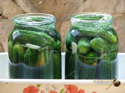 Salted cucumbers fermentation